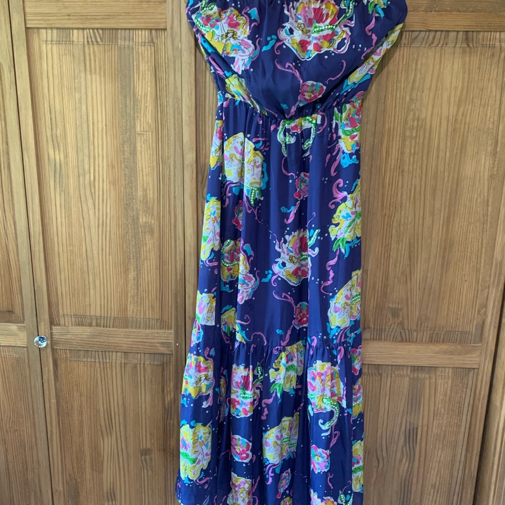 Lilly Pulitzer Silk Bianca maxi dress
Blaring Siren mermaid sequin